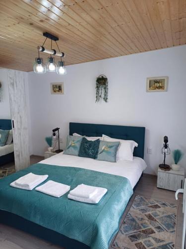 Ocna Mures House | Casa Ioana