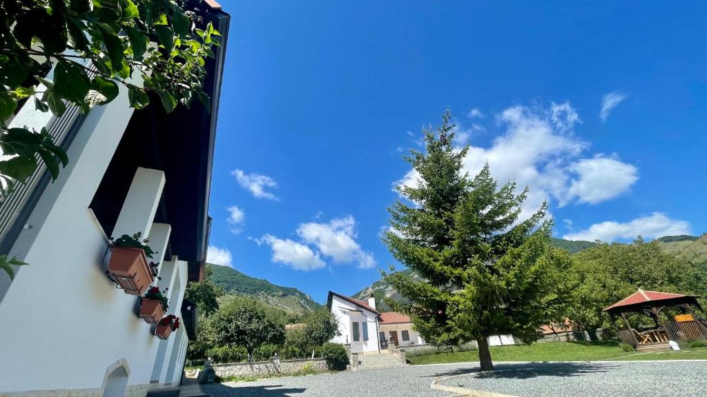 Valisoara House | Casa Izvoarele