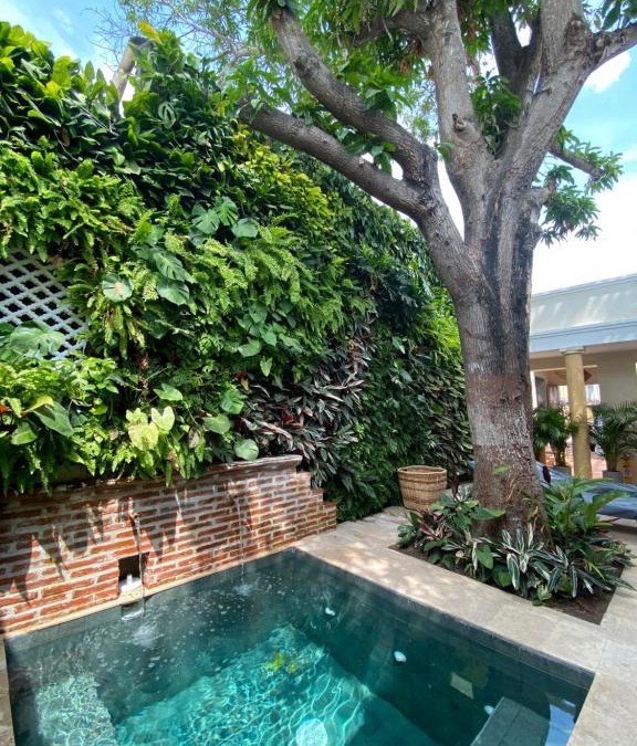 Cartagena Walled City Hotel | Casa Jaguar Hotel Boutique