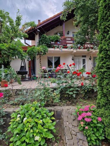 Bratca Bed & Breakfast | Casa Jan Bonca