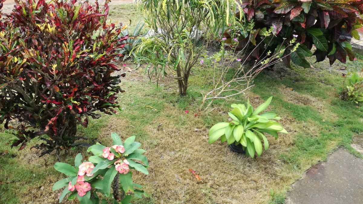 Vinales House | Casa Juanito y Felicia