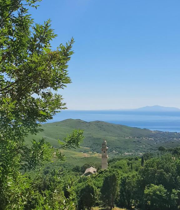 Sisco Bed & Breakfast | Casa l'Ortulanu