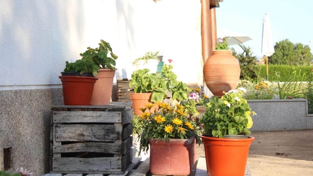 Ciudad Rodrigo Cottage | Casa La Caridad Rural Tourism