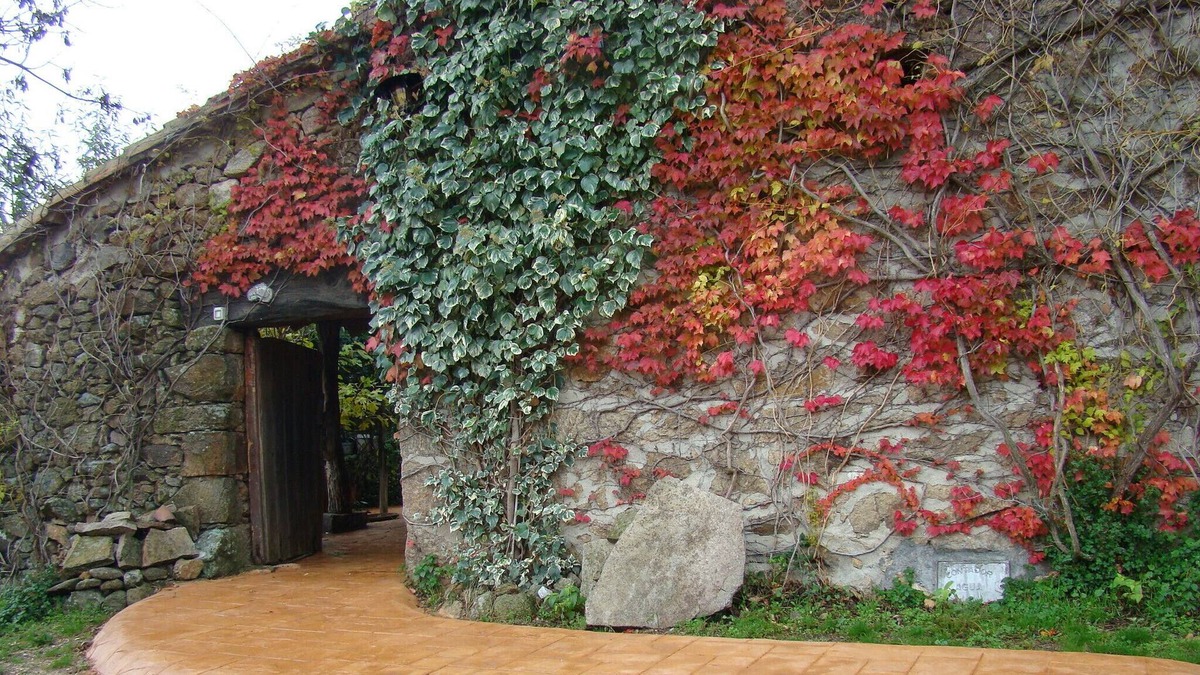 Casavieja House | Casa la Salamanquesa in the heart of the Tietar Valley.