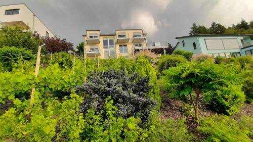 Zummeterhof Apartment | Casa la vino