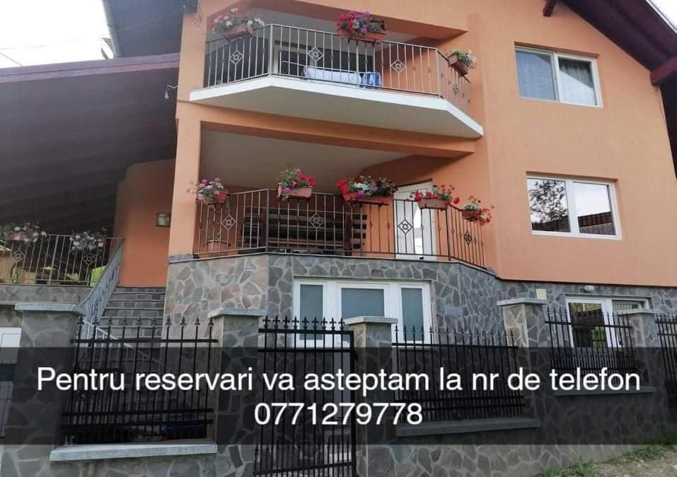 Viseu de Sus House | Casa Larisa