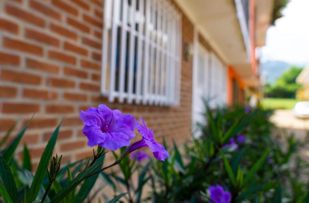 Darien Apartment | Casa las ruelias