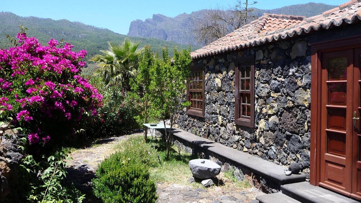 El Paso House | Casa las Tortugas