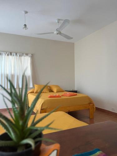 Embalse Apartment | Casa Lavanda