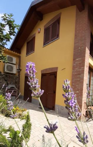Rivoli Bed & Breakfast | CASA LAVANDA