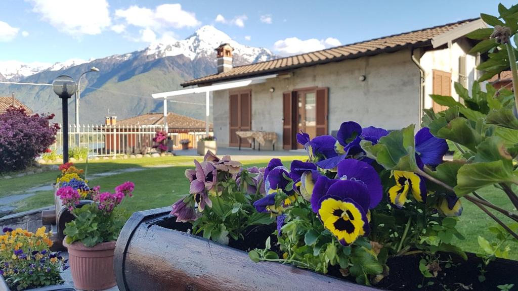 Gera Lario House | Casa Lena
