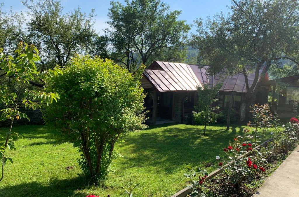 Viseu de Jos House | Casa Livada cu Meri