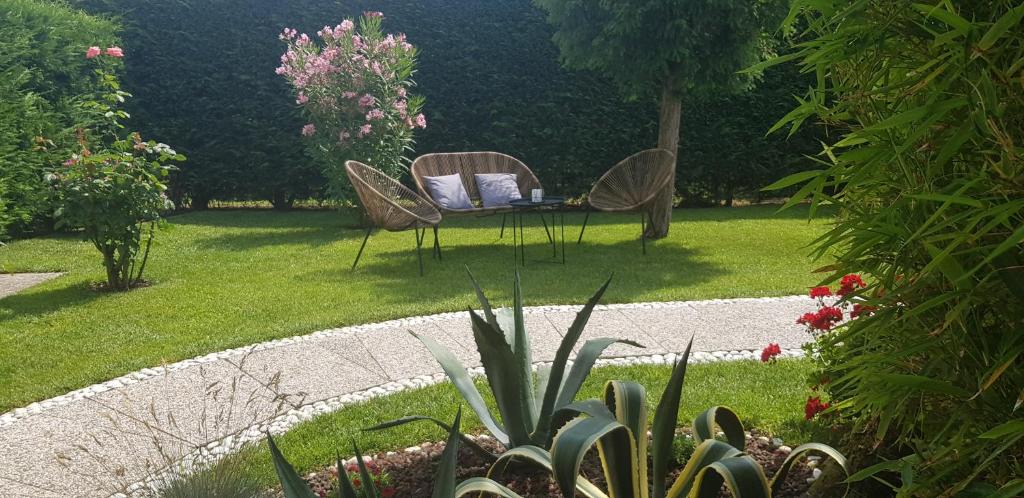 Ca' Savio Apartment | Casa Lola
