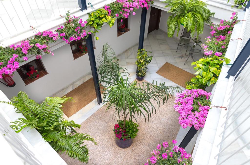 San Lorenzo Apartment | Casa Los Cuatro Soles