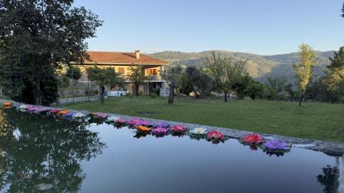 Sande House | Casa Loureiro de Baixo
