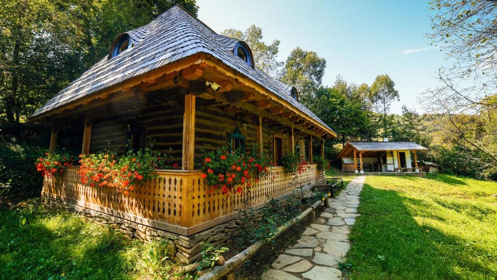 Viseu de Sus House | Casa lu' Ion