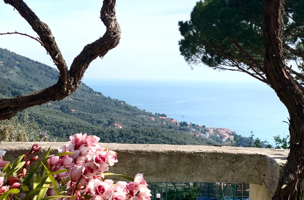 Lerici House | Casa Møjn
