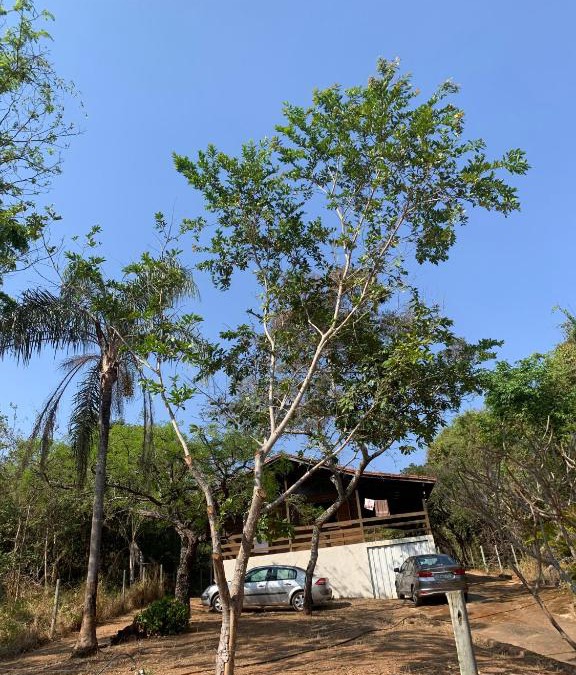 Guape House | Casa Madeira em Santo hilario