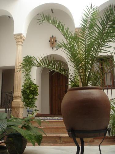 Montoro House | Casa Maika
