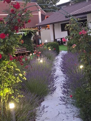 Jupiter House | CASA MARIA