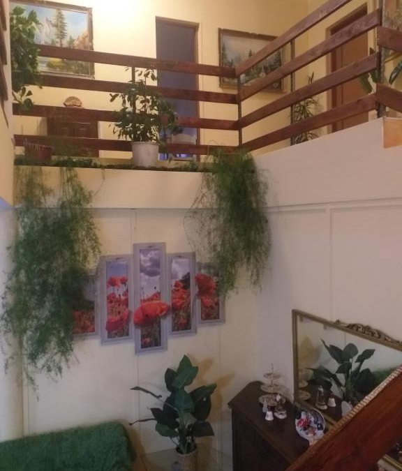 Negresti-Oas Bed & Breakfast | Casa Maria