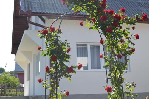 Prundu Bargaului House | Casa Maria