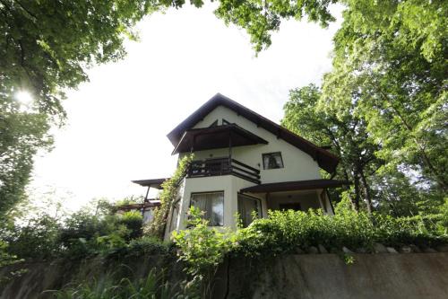 Breaza de Jos Villa | Casa Mariei - Vila Breaza
