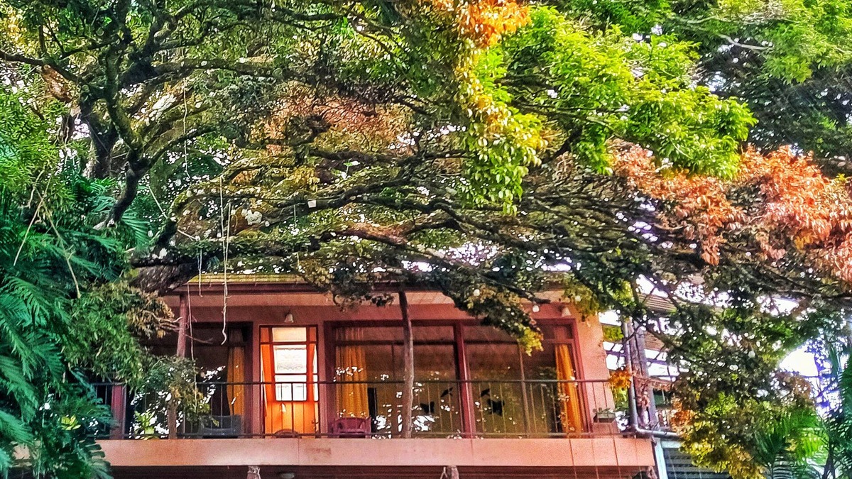 Sierra House | Casa Mariposa Cottage Located a Coffee Farm