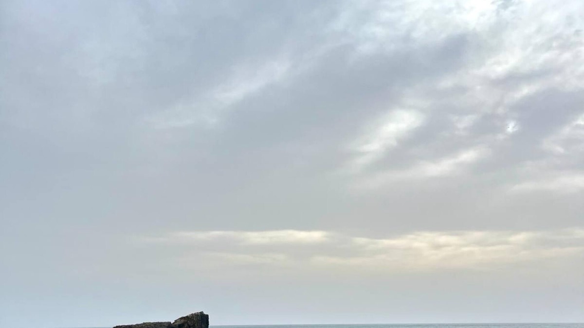 Figueira House | Casa Matea, a mix of modernity and tradition on the edge of the national park
