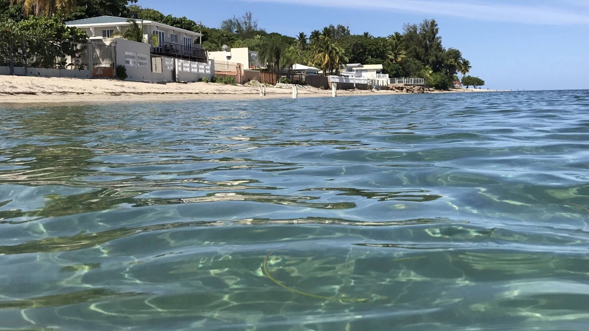 Guanajibo House | Casa Melville Beach Front Property, Glistening waters, Relaxation to the Max!