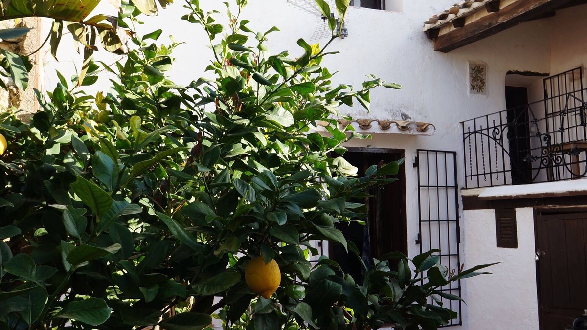 Lliber House | Casa Menut is a Family Friendly 150-year-old house in the heart of Lliber