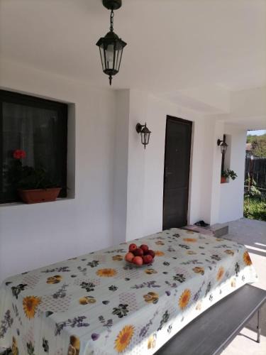 Valcea House | Casa Michel