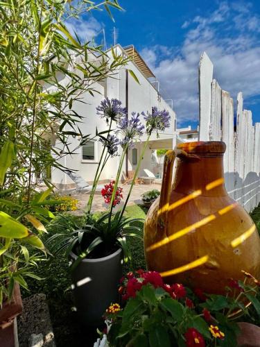 Cerenova House | CASA MILA White