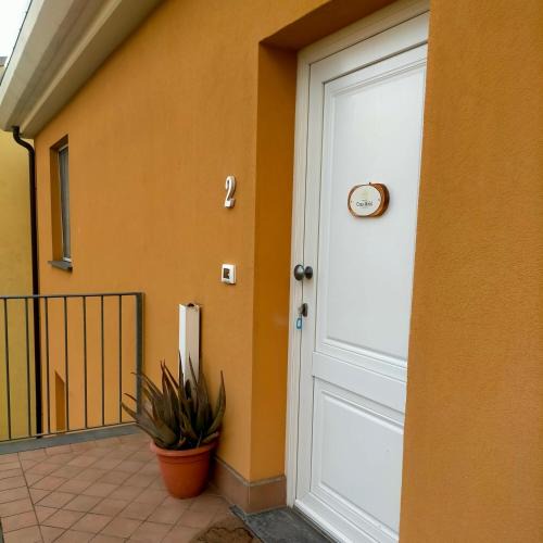 Uliveto Terme Apartment | Casa Moki