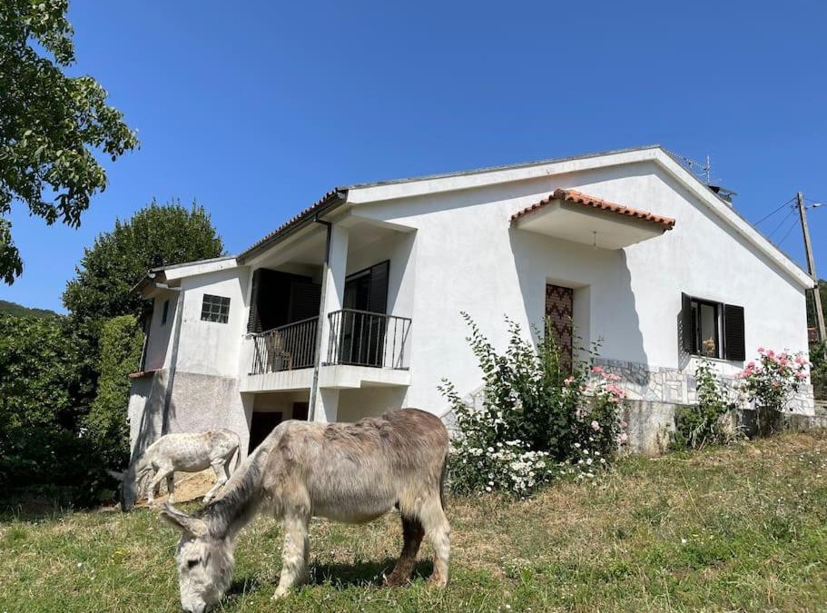 Rio De Fornos House | Casa Morais