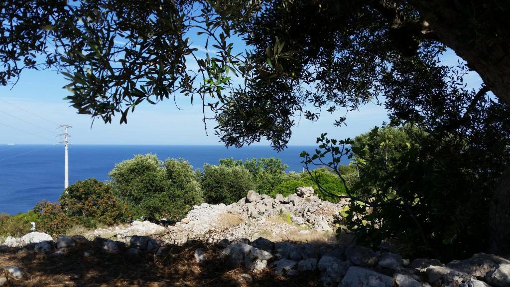 Marina di Novaglie House | Casa Morena