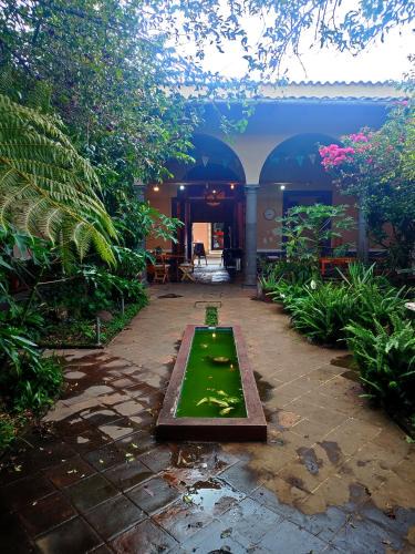 Coatepec House | Casa Morfo Cultura