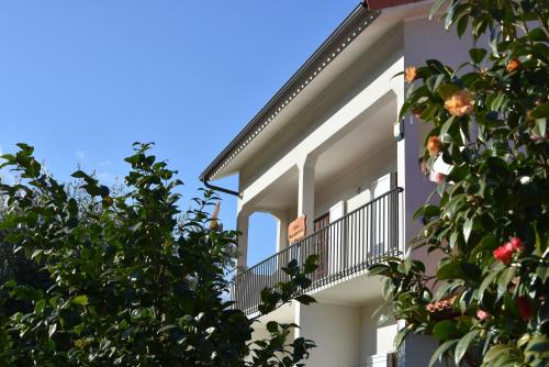 Vila Nova de Poiares Apartment | Casa Mouramortina