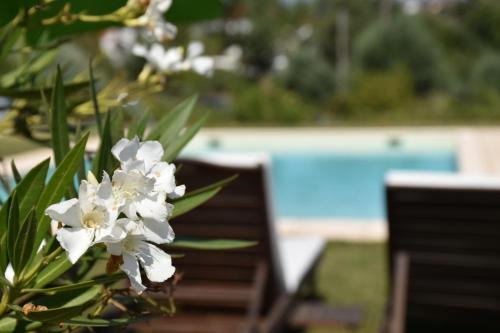 Vila Nova de Poiares Bed & Breakfast | Casa nas Serras