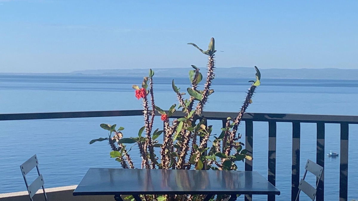 Aci Trezza Apartment | Casa Nausica: a dreamy sea view, on the Riviera dei Ciclopi.Free wi-fi