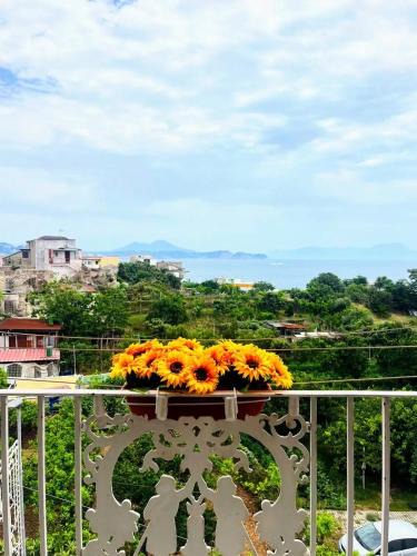 Bacoli Apartment | Casa Nina-Bacoli Elegant & View