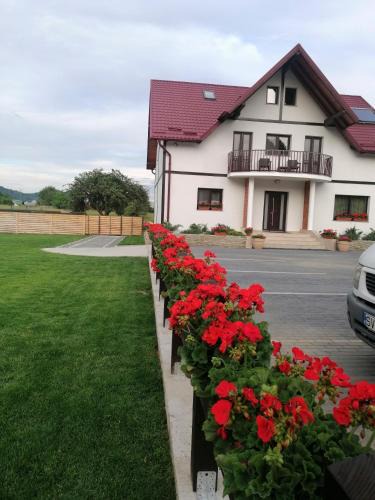 Gura Humorului House | CASA NOBILIS PLUS