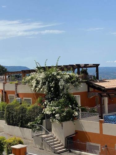 Pizzo Apartment | casa norvegese