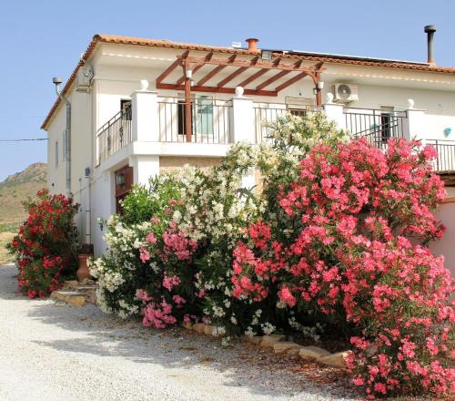 Oria Bed & Breakfast | Casa Nuestro Sueño