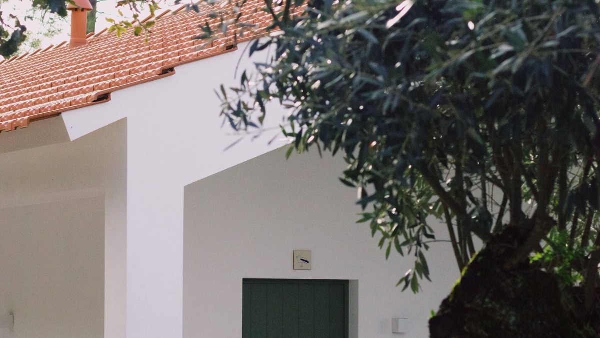 Porto de Mos House | Casa Oliva Casa da Serra