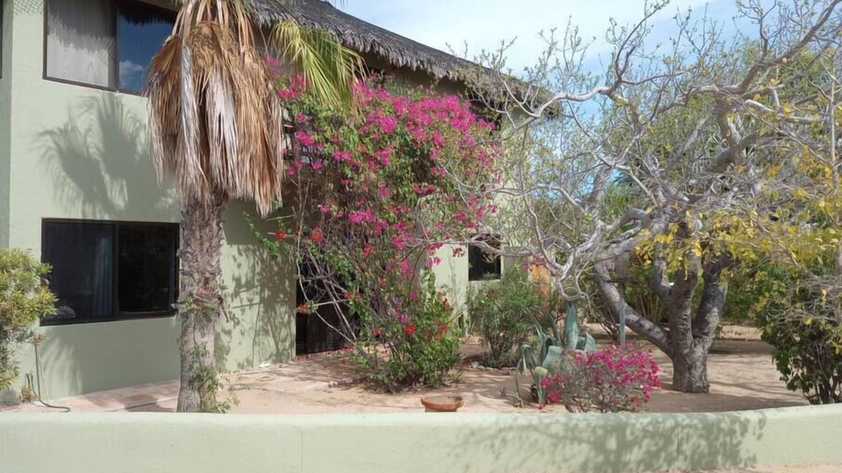 Cabo Pulmo House | Casa Pájaros - Private 2-Story Home