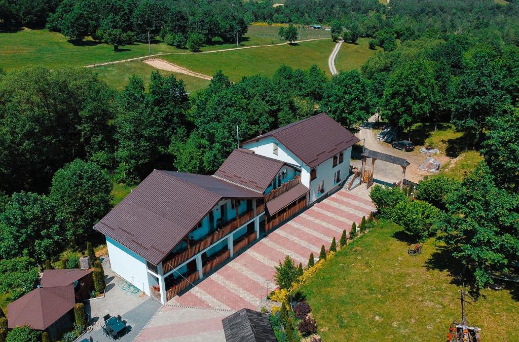 Vadu Izei House | Casa Papițu