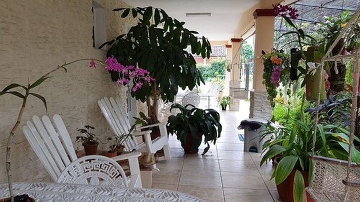 Vinales House | Casa Papo y Niulvys