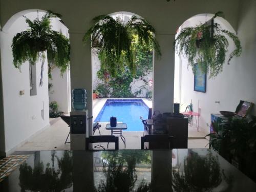 Honda Bed & Breakfast | Casa Paraiso