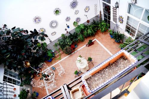 San Andres-San Pablo House | Casa Patio Santa Marta